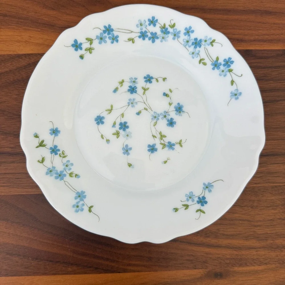Vintage Arc Arcopal France Veronica Blue Floral 7.5